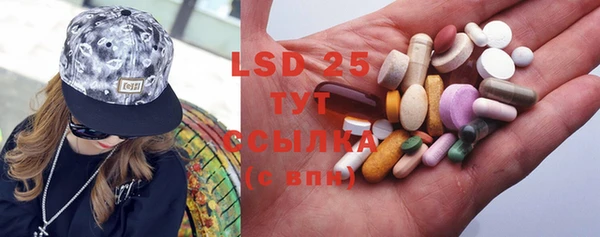 PSILOCYBIN Аркадак