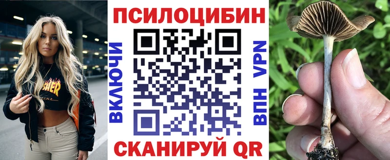 Псилоцибиновые грибы мухоморы  Покровск 